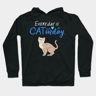 Everyday Is Caturday Quote For Cat Lovers Hoodie